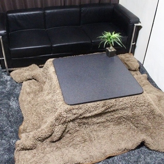 モコモコのこたつ布団 74cmのこたつで使用