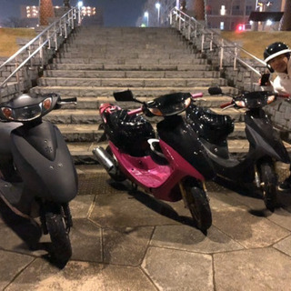ライブディオzxの画像