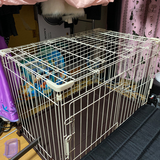 犬、猫　ケージ