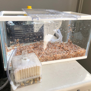 〔お話中〕水槽の画像