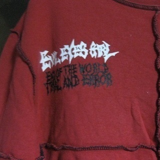 ワンコイン 黒×赤　長袖Tシャツ スカルの画像