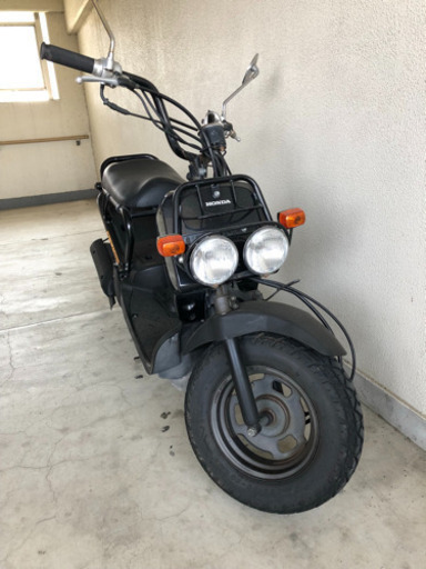 ホンダ　ズーマー