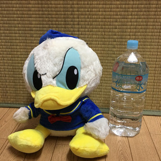 【未使用・タグ付き】ドナルドダック甥っ子（デューイ青色）