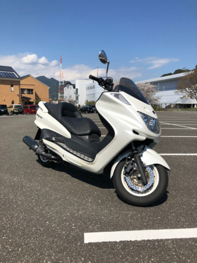 マジェスティＣ　ホワイト　ＳＧ03Ｊ