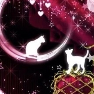 ⭐#福岡ey2.5yx-部(オプチャ)