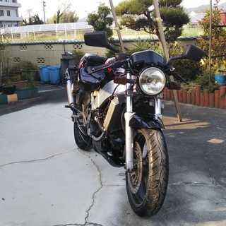 【中古車】スズキ　ウルフ250  (1989)  K型　(RGV250Γ )の画像
