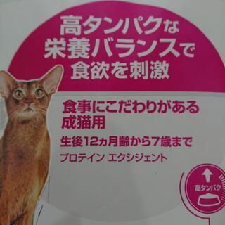 ロイヤルカナン猫用2キロの画像