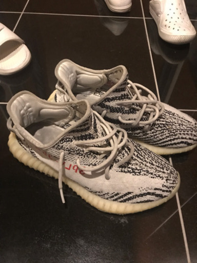 イージーブースト ゼブラ