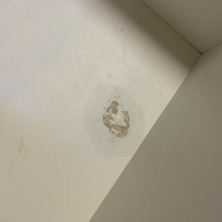 【商談中】ニトリ　キッチンボード　ホワイトの画像