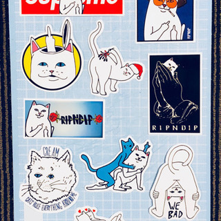 ripndip  ステッカー   【E.T様取引中】