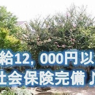 【★給12,000円以上★】週2日～OK♪社会保険完備★未経験者...