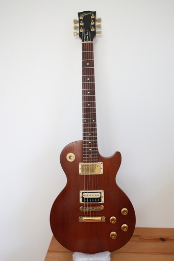Gibson Les Paul Smart wood