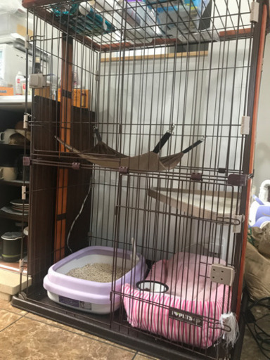 猫サークル