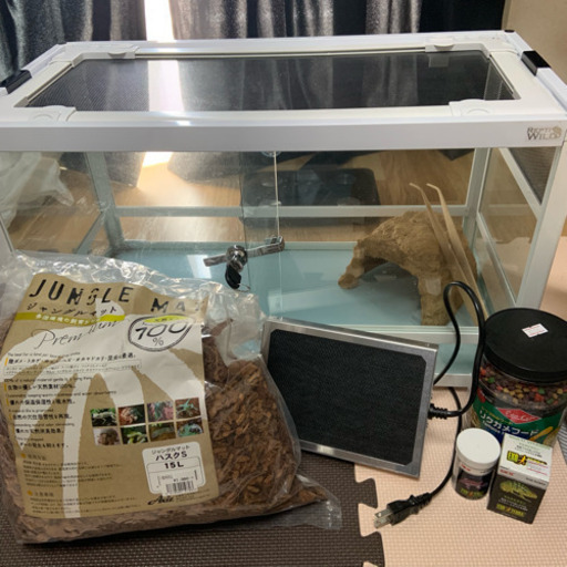 爬虫類 飼育セット