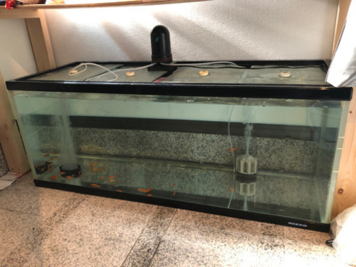 ニッソー　ガラス水槽　1200×45×45