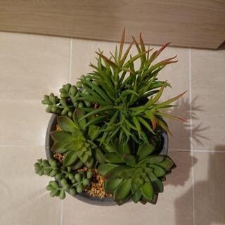 造花、インテリアの画像