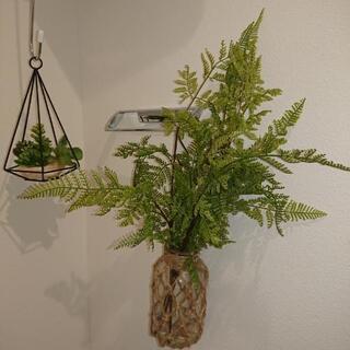 造花、インテリアの画像