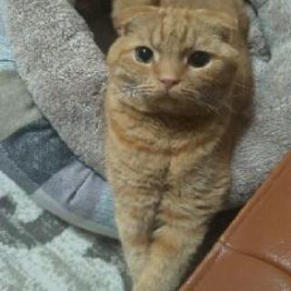 誰にでも懐きます。