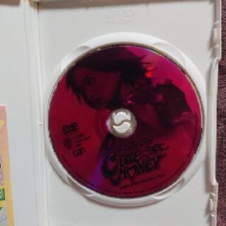 メイキングオブキューティーハニーの画像