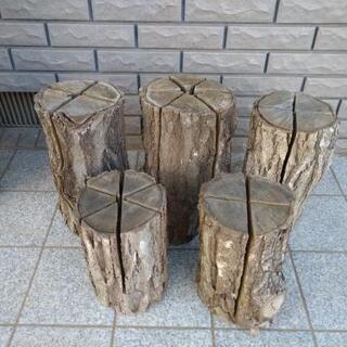 #コロナに負けるな！第2弾「スウェーデントーチ差し上げます（1世...