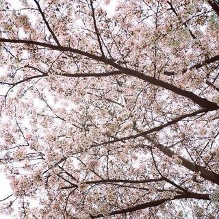 ❤モニターさん募集❤ − 東京都