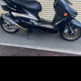 シグナス2型(国内仕様)