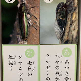 昆虫かるた