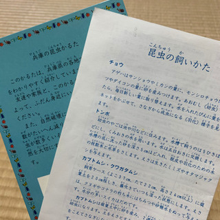 昆虫かるたの画像
