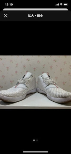 ジョーダン　バッシュ  jordan