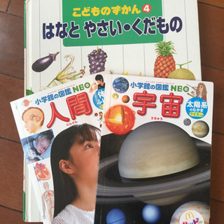 図鑑　人間　宇宙　花と野菜果物