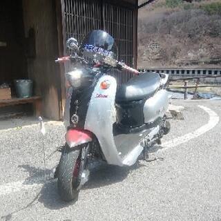 ビーノ　