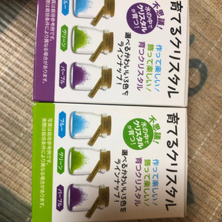 育てるクリスタル パープル＆グリーンの画像