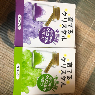 育てるクリスタル パープル＆グリーン