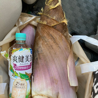 とりたてのタケノコ（終了）