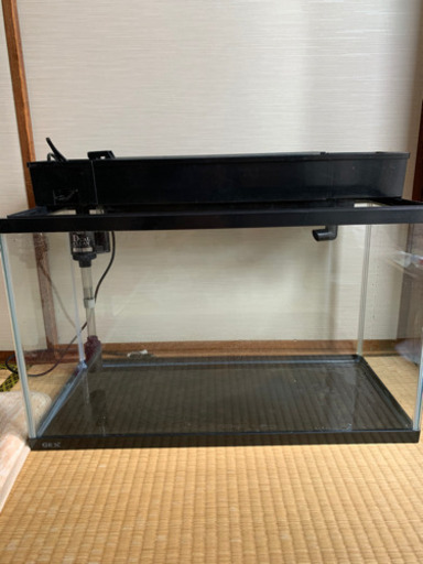 ６０の水槽