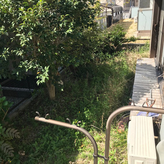 受付終了しました、木の伐採