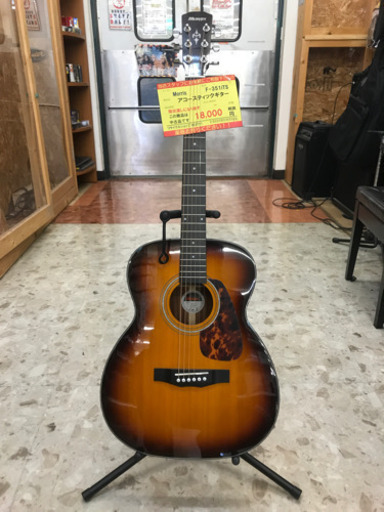 Morris  アコースティックギター  B14