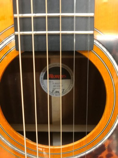 Morris  アコースティックギター  B14