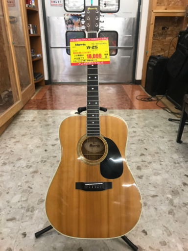 Morris  アコースティックギター  B15