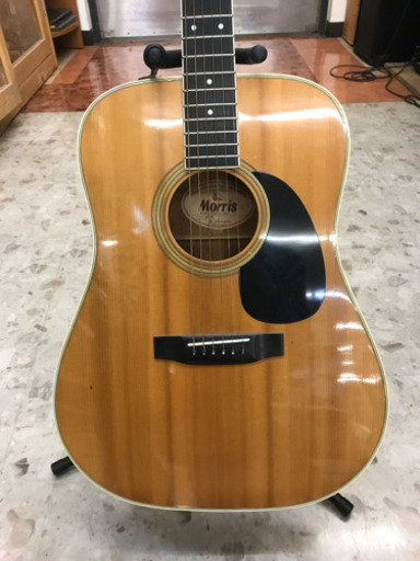 Morris  アコースティックギター  B15