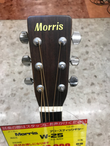 Morris  アコースティックギター  B15