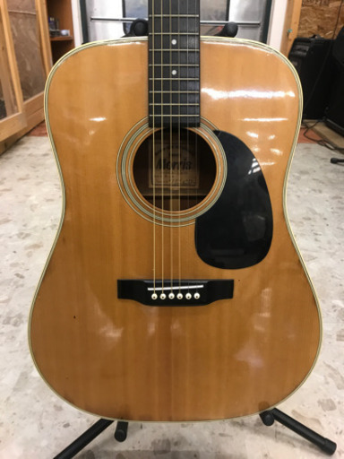 Morris アコースティックギター  B17