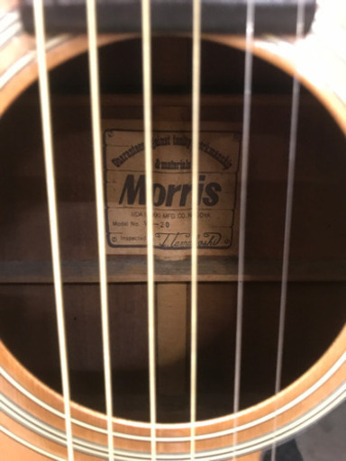 Morris アコースティックギター  B17