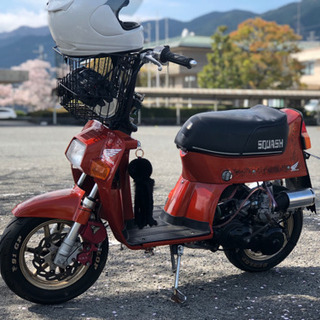 【求む】ホンダ スカッシュ キャリア
