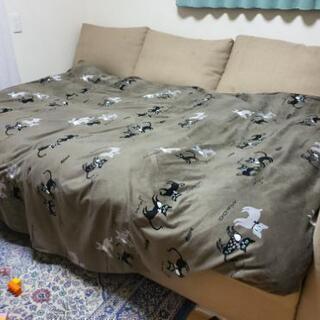 IKEAソファーベッド✰︎ダブルベッド