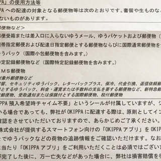 OKIPPA(おきっぱ) の画像