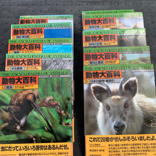 動物大百科！20巻セット！コロナで自宅待機の暇つぶしに！