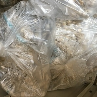 熱帯魚用　リングろ材　まとめ売り　濾過　濾過層　フィルターの画像