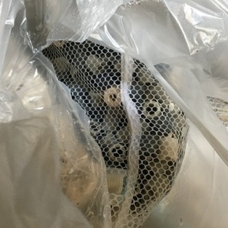 熱帯魚用　リングろ材　まとめ売り　濾過　濾過層　フィルターの画像