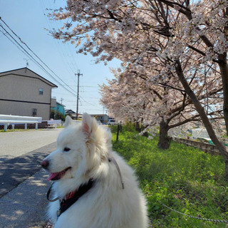 友達募集です！